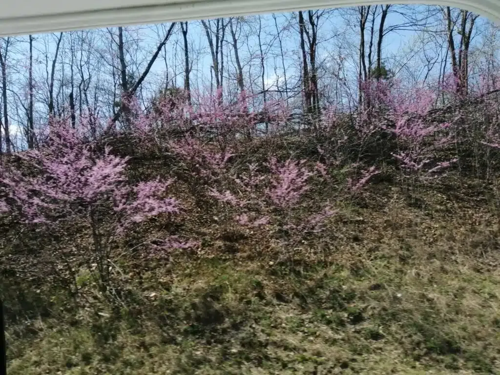 IMG 20240330 192624 1